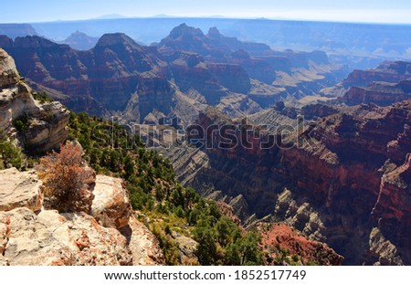 spectacular view from bright angel point  in autumn over the north rim of the grand canyon national park, arizona Royalty-Free Stock Photo #1852517749