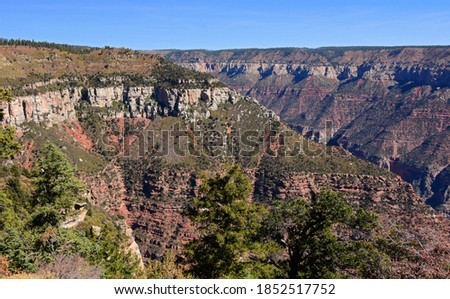 spectacular view from bright angel point  in autumn over the north rim of the grand canyon national park, arizona Royalty-Free Stock Photo #1852517752