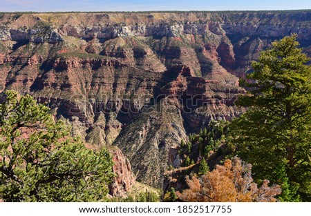 spectacular view from bright angel point  in autumn over the north rim of the grand canyon national park, arizona Royalty-Free Stock Photo #1852517755