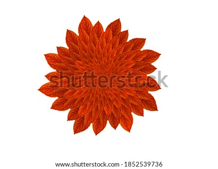 Red leaves on isolated white background 