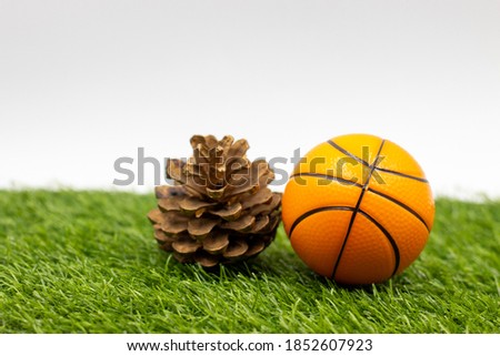 Basketball Christmas with Basketball and Christmas ornament on green grass