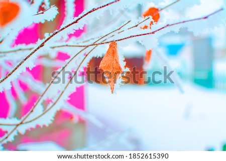 branch frozen in snow and leaf blurred background