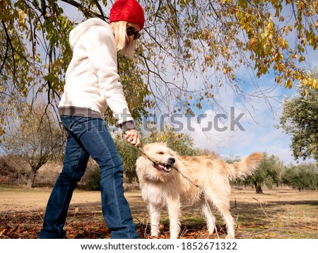 BLONDE WOMAN IN A WHITE COAT AND, RED HAT, PLAYING WITH A DOG WITH A STICK UNDER A TREE IN FULL AUTUMN