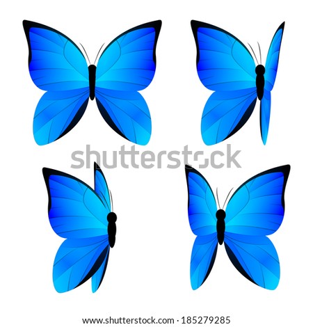 Set of blue butterflies isolated on white