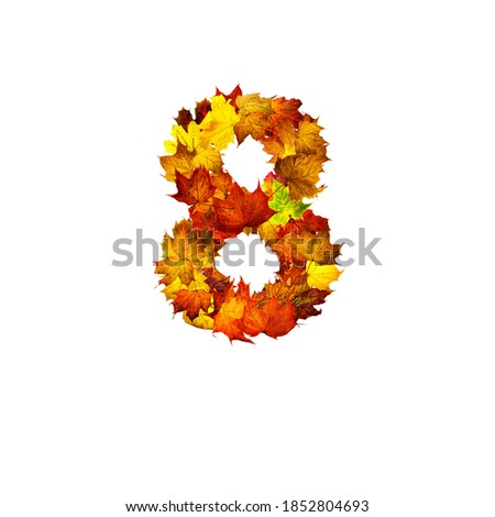 Colorful autumn leaves isolated on white background as number eight. Number eight.