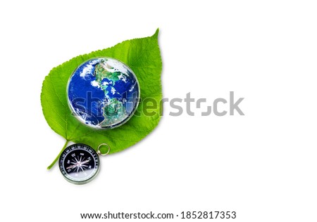 Globe Earth on Green Leaf with Black Compass on White Background, Earth and Natural World Concept, Elements of this image furnished by NASA