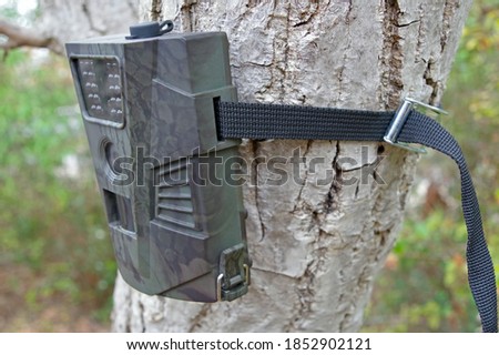 Camera traps with infrared light and a motion detector attached by straps on a tree 
