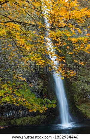 Beautiful Waterfall with Trees in  Fall Autumn Colors 