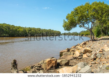 The view of Hunter River banks in Hexham suburb of the city of Newcastle, New South Wales, Australia Royalty-Free Stock Photo #1852941232