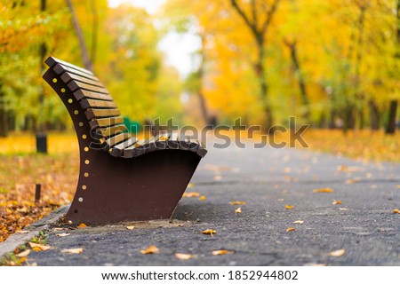Cozy bench for rest in an autumn park with yellow leaves. Autumn mood.