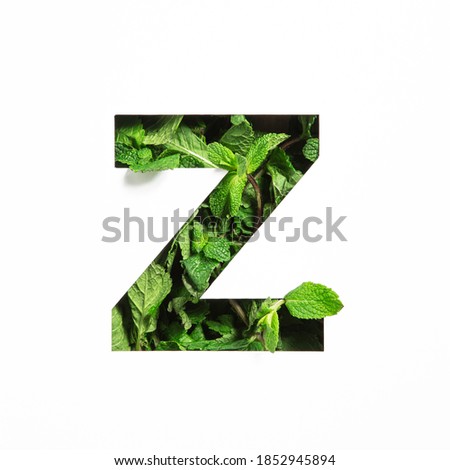 Letter Z of English alphabet of green mint natural leafs and cut paper isolated on white. Leaves font for decoration