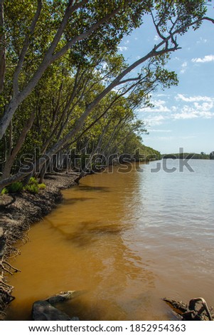 The view of Hunter River banks in Hexham suburb of the city of Newcastle, New South Wales, Australia Royalty-Free Stock Photo #1852954363