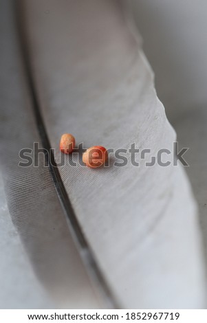 single feather on white and grey marble with two orange decorative trick