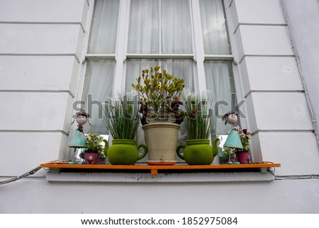Decoration in front of window with dolls, plants and sign says No weed allowed