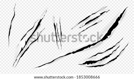 Cat marks, claws scratches isolated vector pets or wild animal nails rip, tiger or bear paws sherds on transparent background. Lion, monster or beast break, , realistic 3d traces on paper texture set Royalty-Free Stock Photo #1853008666