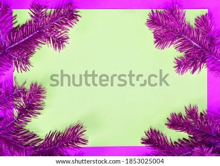 Lilac branches of a Christmas tree on a light background