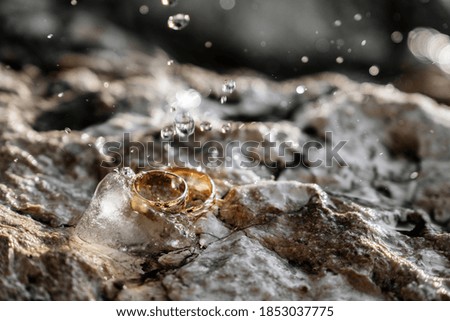 gold wedding rings with water spray macro photography