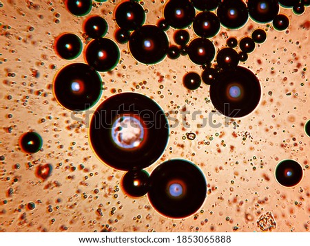 Coffee bubbles under the microscope