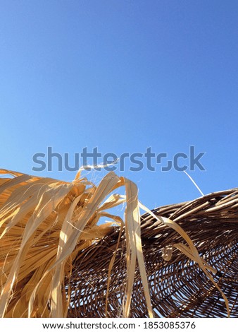 palm leaf sunshade at the beach