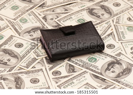 Leather purse cards on background of American money. Studio photo