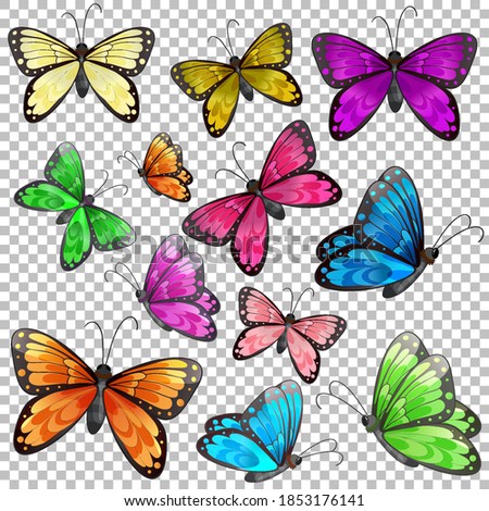 Set of different butterfly on transparent background illustration