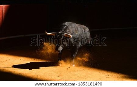 Spanish black  bull with big horns running Royalty-Free Stock Photo #1853181490