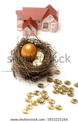 Building model and golden eggs in the nest of gold