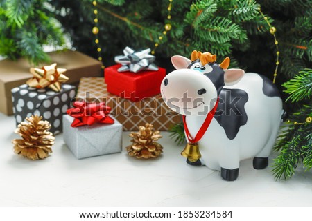 Toy bull with gifts, on the background of fir branches. Symbol of the Chinese New year 2021, a symbol of new year's mood. Holiday symbol
