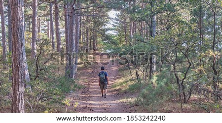 A man with a backpack is walking along the trail in a beautiful autumn forest.