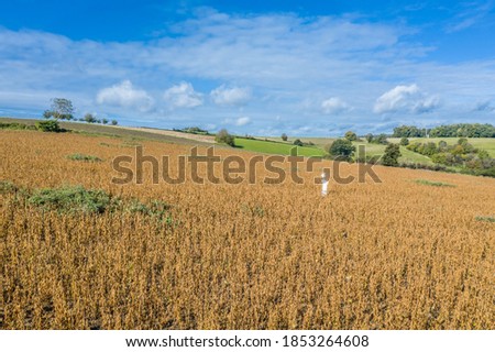 Picture of a self-made scarecrow on a field in Bavaria, Germany