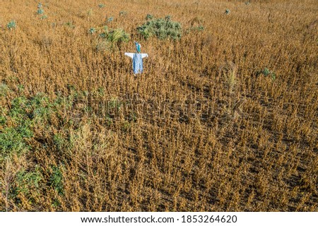 Picture of a self-made scarecrow on a field in Bavaria, Germany
