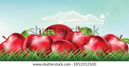 Pile of red apples laid down on the grass with clouds floating on sunny sky. Realistic 3D mockup product placement. Vector