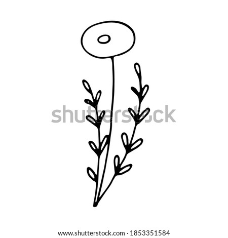 Cover Highlight Icon. Trendy abstract organic and graphic element. Art foliage natural leaves herbs in line style
