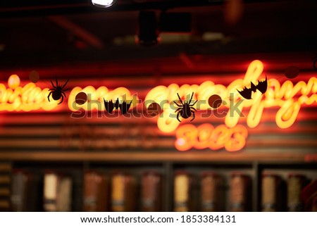 Halloween decorations. Decorated space in spiders, cobwebs and other elements for Halloween.