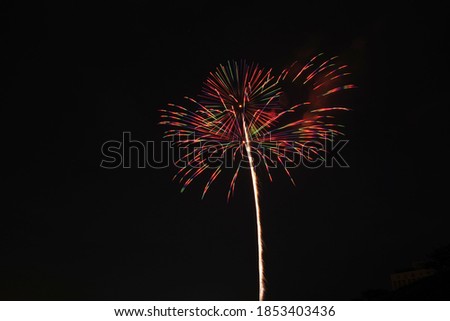 This is a picture of Japanese fireworks. The place is Tochigi.