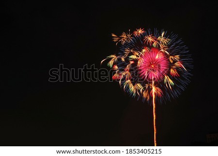 This is a picture of Japanese fireworks. The place is Tochigi.