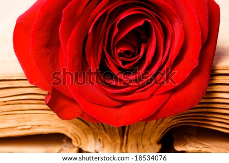 rose on book 3