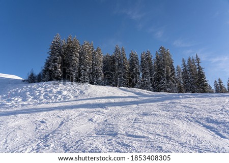 Snow caped hill with frozen forest against blue sky with white light clouds. Hasliberg, Switzerland-Europe. Copy space.