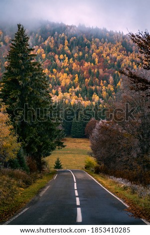 Mountain landscape in the autumn season with an empty road leading to the colorful forest in the distance on a foggy November day. Vertical alignment.
