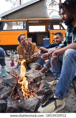 Campfire outdoor fun. Happy young friends at camp or picnic, enjoy roasting marshmallow at fire, sitting near the bonfires in a wood, warming and talking