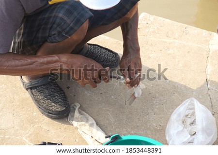 Selective focused, hand of fishing man holding fish for taking out hook with pliers. Concept of fishing man.                              