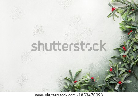 Mistletoe branches on light background
