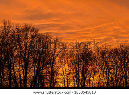 Bright orange sunset behind the silhouette of bare trees and with impressive clouds
