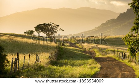 Beautiful countryside of New Caledonia Royalty-Free Stock Photo #1853554009