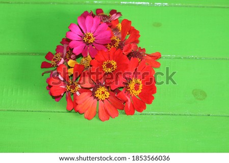 Spring, autumn and summer flowers, on a green wooden background.