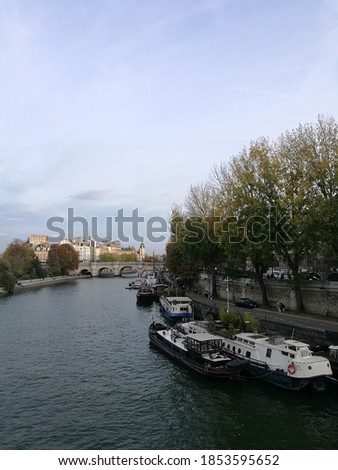 view of the river seine, the eiffel tower and the gargoyles in notradam
