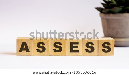 The word ASSESS on wooden cubes on a light background near a flower in a pot. Defocus