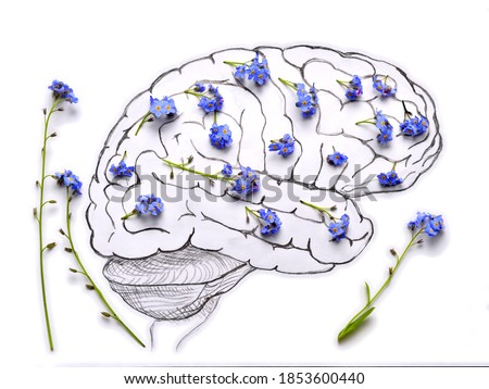 Human brain neocortex pencil drawing with blue flowers.