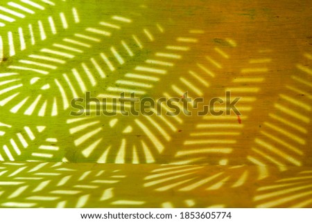 Parallel  lines shadow on wooden background.