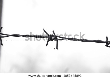 Barbed wire against grey foggy sky. No access, trespassing or freedom concept.